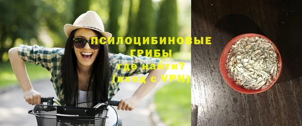соль ск Белокуриха